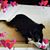 Judy Klepfer's profile image
