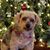 Mary-Jo Yunaska Bedsworth's profile image