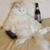 Gail Ambrocio's profile image