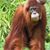 Sara Limon's profile image