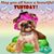 Phyllis Staub's profile image
