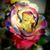 Renee Sloane's profile image