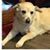 Melinda Elliott's profile image