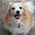Lorie Langsdorf's profile image