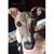 Devon Humphrey's profile image