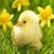 Tina Browning's profile image