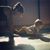 Nicole Jean Jasulavic's profile image