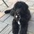 Eugenia Travis Smith's profile image