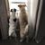 April Edwards Loun's profile image