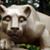 Dwight Risher's profile image