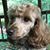 Nancy Sugg Bracher's profile image
