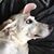 Kitty Weisman's profile image
