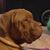 Lisa N Mike Taylor's profile image