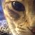 Mary E Cody's profile image