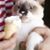 Kristina L. Okuda's profile image