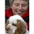 Diane McGrew's profile image