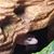 Sandy Schmitke's profile image