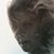 Anne Pearne's profile image