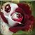 Linda Watson Flynt's profile image