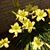 Anne Reid Almquist's profile image