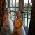 Audrey Eppley's profile image