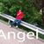 Angle Cummings's profile image