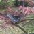 Susan N. Carnes's profile image