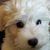 Sandra Templeton Davis's profile image