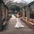 Rachel Holland Decesare's profile image