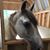 Cindy Jo Ciccozzi's profile image