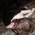 Judy Retherford Hutchens Weaver's profile image
