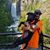Phill Rodrigues's profile image