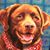 Jenny Kelley Carson Kennison's profile image