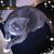 Paula Olson's profile image