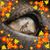 Daria Adams's profile image