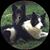 Valerie Cornejo's profile image