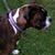 Craig D Messino's profile image