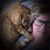 Kate J Lewis's profile image