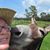 Gina M Colletti-Watson's profile image