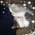 Larry Stendebach's profile image