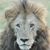 Patti Harris's profile image