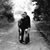 Marc Stephen Dettmer's profile image