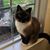 Donna Kuntz's profile image