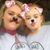 Kayla Stephens's profile image