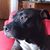 Gary Bittner's profile image