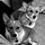 Joette Oster's profile image
