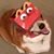 Brian Thompson's profile image