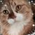 Bambina Lynn Griffin's profile image