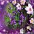 Lisa Loney's profile image