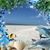 Lesley Morgan Purser's profile image